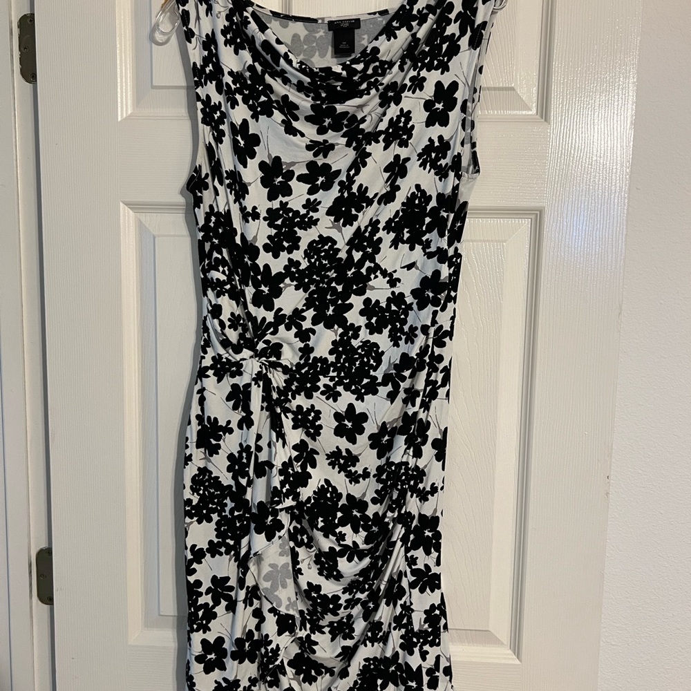 Ann Taylor Dress